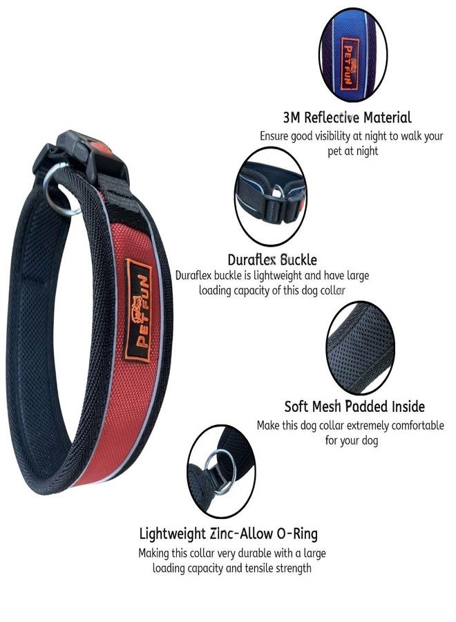 PET FUN Adjustable Reflective Pet Collar with Soft Padding | Durable Nylon Belt with Quick-Release Buckle & Leash D-Ring | for Small, Medium & Large Dogs, Cats & Puppies (Sky Blue, XL) - Image 2